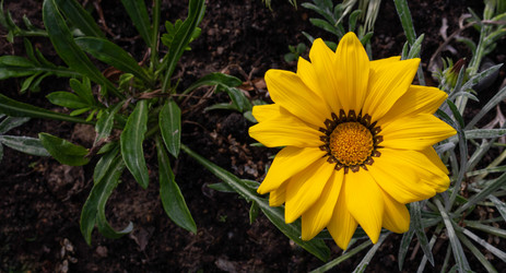 Similar image 20981841