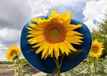 Similar image 20982206