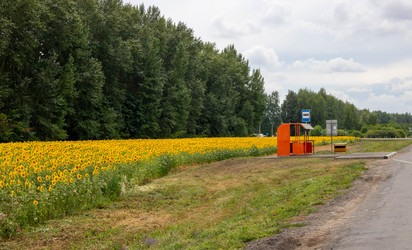 Similar image 20982209