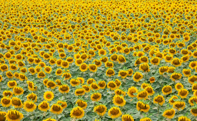 Similar image 20982211