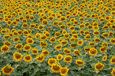 Similar image 20982213