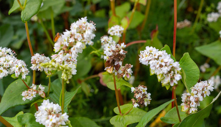 Similar image 20982215