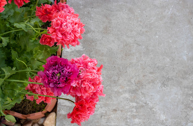 Similar image 20982222