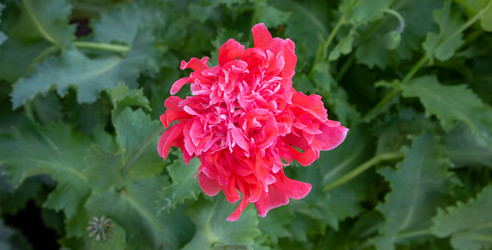 Similar image 20982237