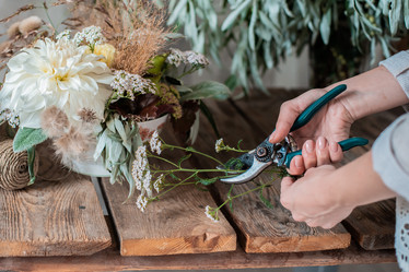 Similar image 20981367