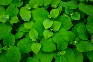 Similar image 20981856