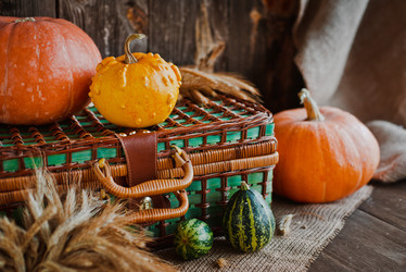 Similar image 20987654