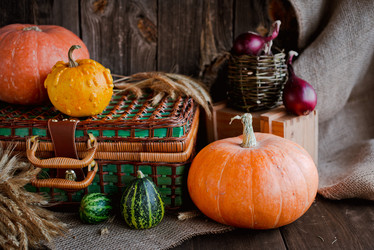 Similar image 20987655