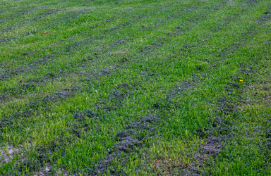 Similar image 20981860