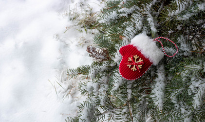 Similar image 20981868