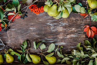 Similar image 20981379