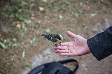 Similar image 20997750