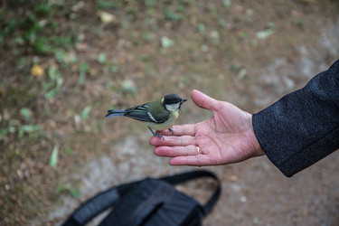 Similar image 20997751