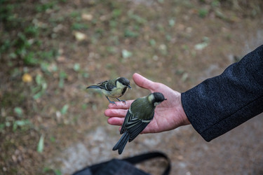 Similar image 20997752