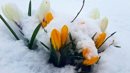 Similar image 20982793