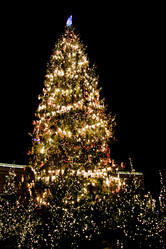 Similar image 21003422