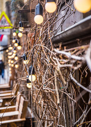 Similar image 21003423