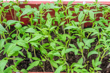 Similar image 20981717