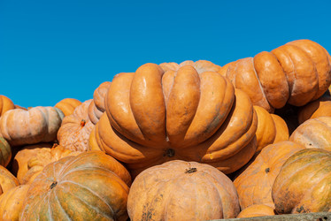 Similar image 20981718