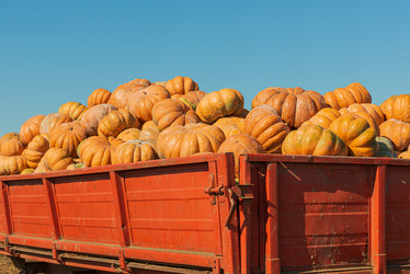 Similar image 20981719