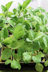 Similar image 20981720