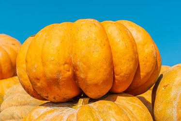 Similar image 20981721