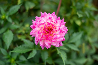 Similar image 20981886