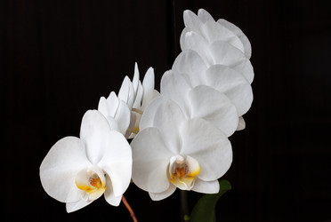 Similar image 20981888