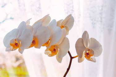 Similar image 20981889