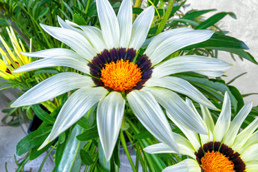 Similar image 20981890