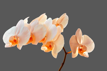 Similar image 20981891