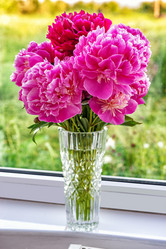 Similar image 20981897