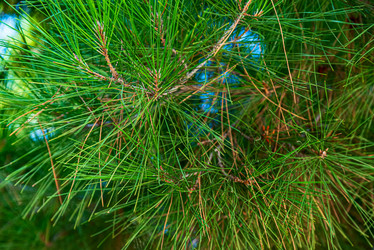 Similar image 20981902