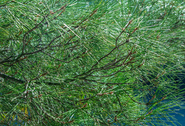 Similar image 20981903