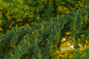 Similar image 20981906