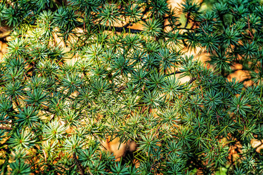 Similar image 20981907