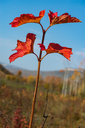 Similar image 20981908