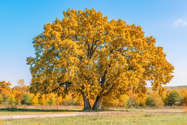 Similar image 20981911