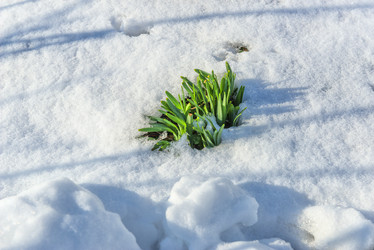 Similar image 20981913