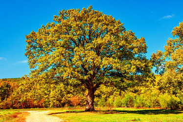 Similar image 20981916