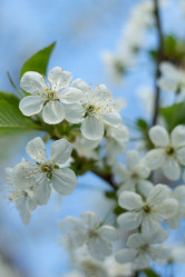 Similar image 20981615