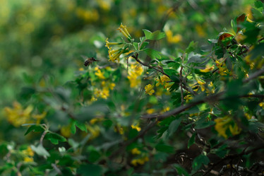 Similar image 20981617