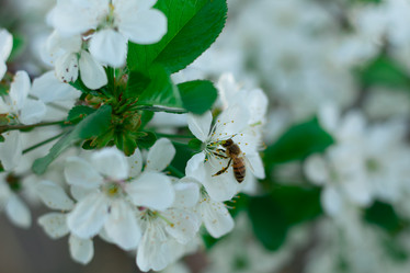 Similar image 20981620