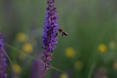 Similar image 20981621