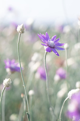 Similar image 20981626