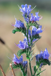 Similar image 20981627