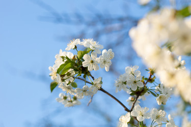 Similar image 20981629