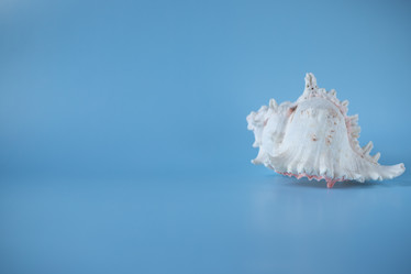 Similar image 20981644