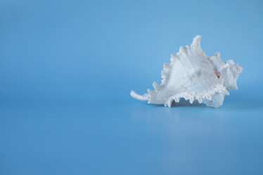 Similar image 20981645