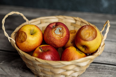 Similar image 20987861